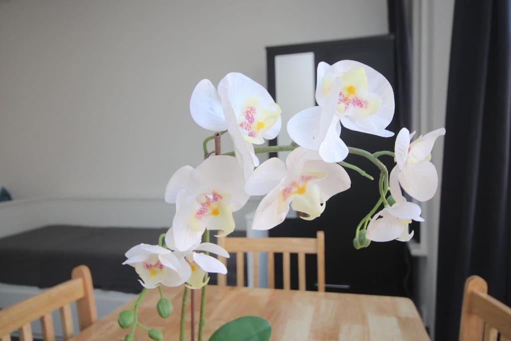 South Kensington Flat Close To Hyde Park Londen Buitenkant foto